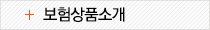 보험상품소개